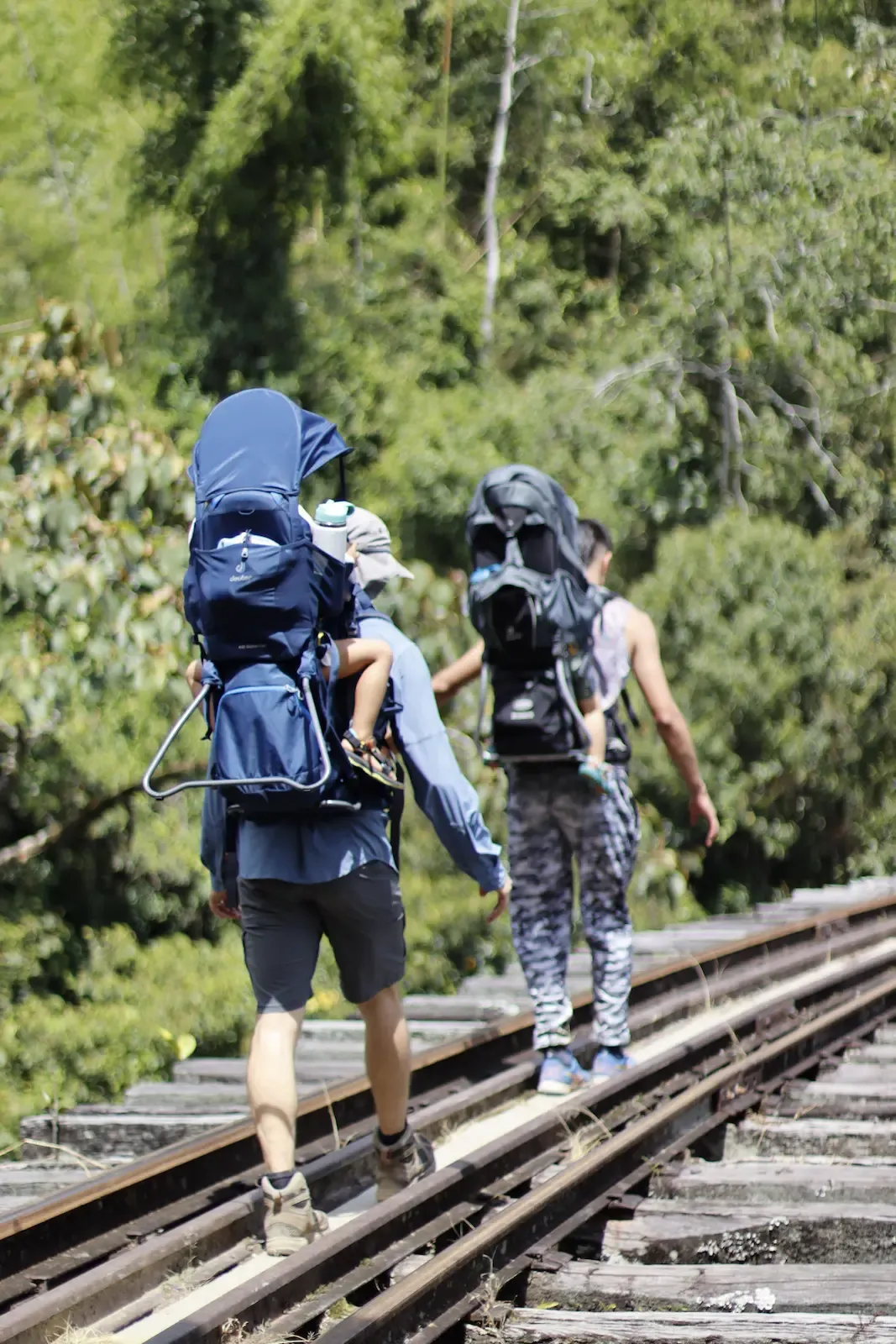 Viaducto del Antiguo Ferrocarril – Antioquia