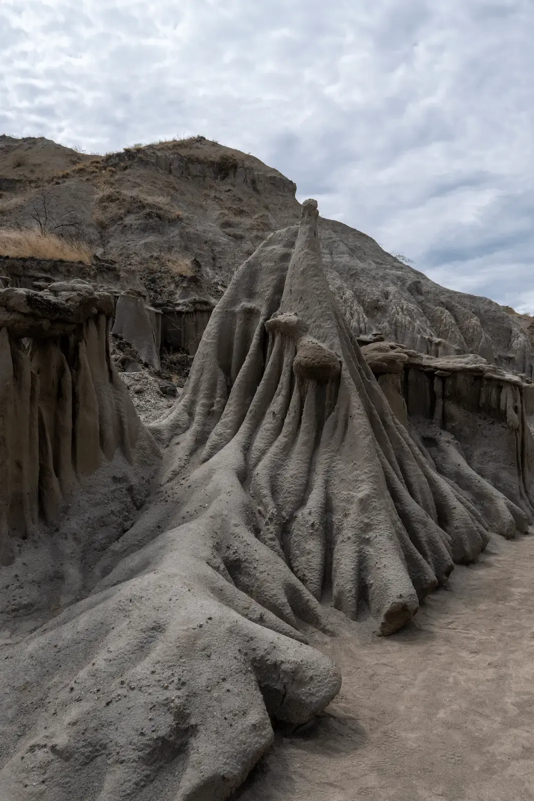Desierto de la Tatacoa | Aventura bajo las estrellas