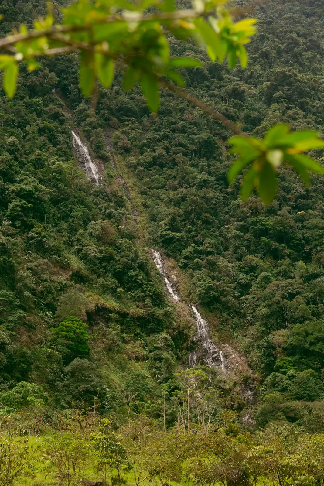 Valle de las Cascadas – Carmen de Viboral