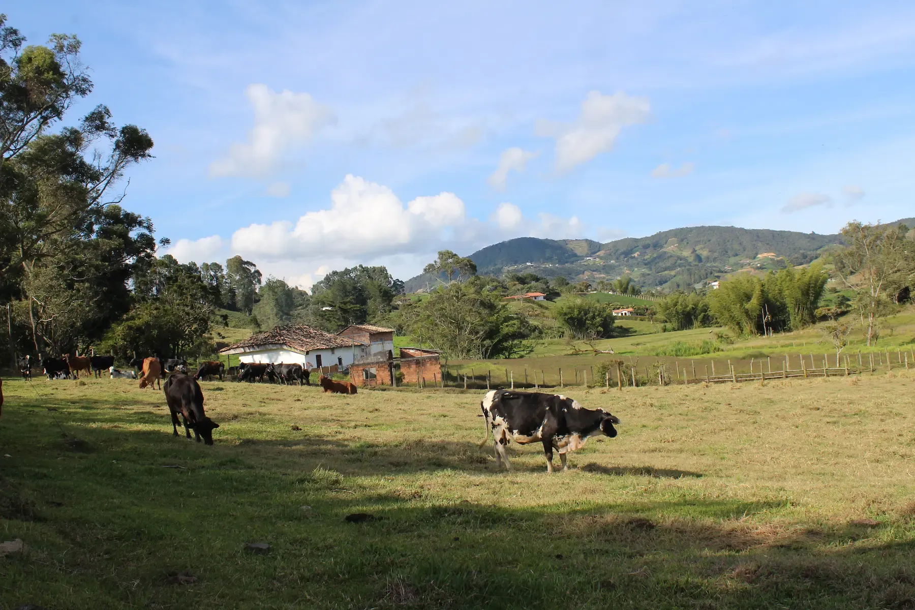 Alto y Cascada El Morro – Santuario