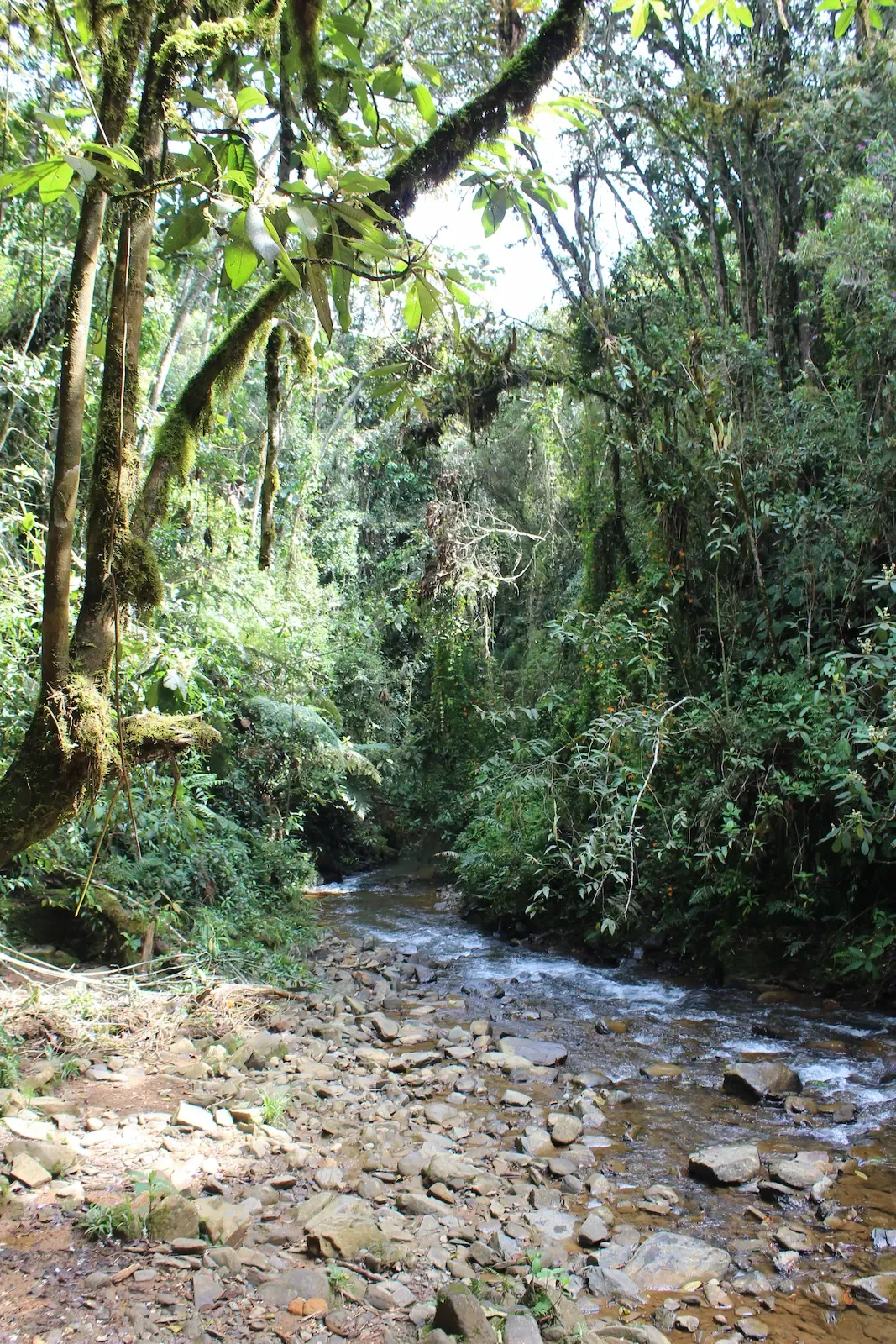 Cascada La Honda – Santa Elena