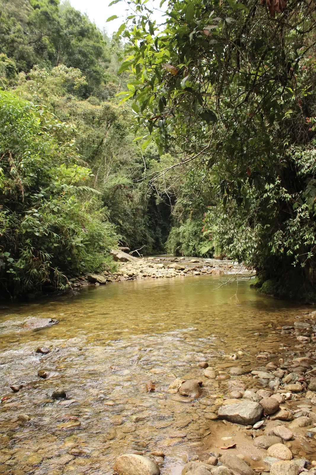 Paso del Toro – El Retiro