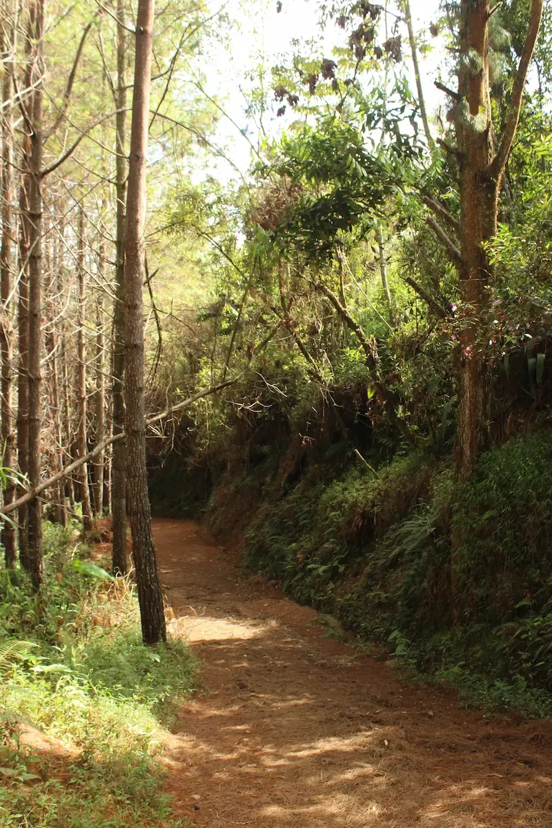 Cascada La Escondida – Montebello