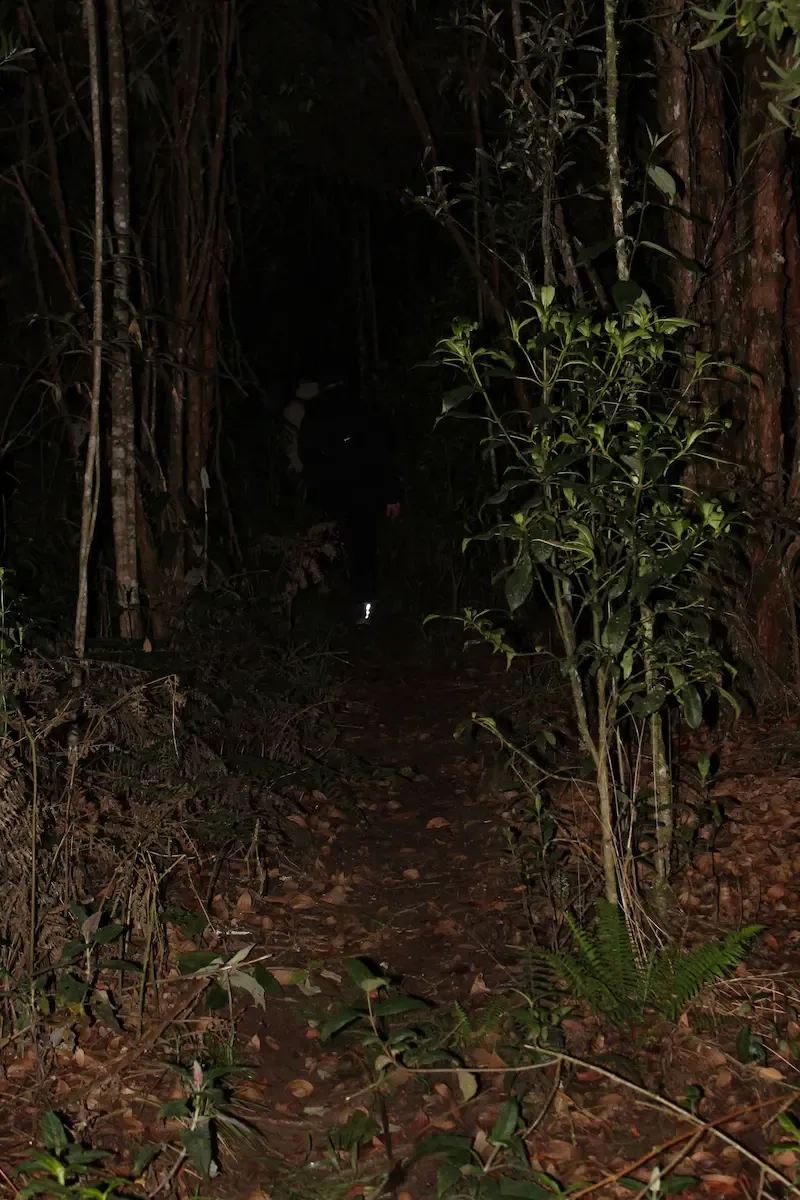 Páramo de Belmira nocturno